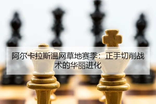 a-er-ka-la-si-wen-wang-cao-di-sai-ji-zheng-shou-qie-xiao-zhan-shu-de-hua-li-jin-hua-2-257.jpg